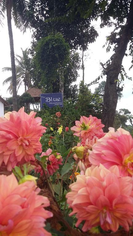 The Blue Mountains Estate Stay Madikeri Exteriér fotografie