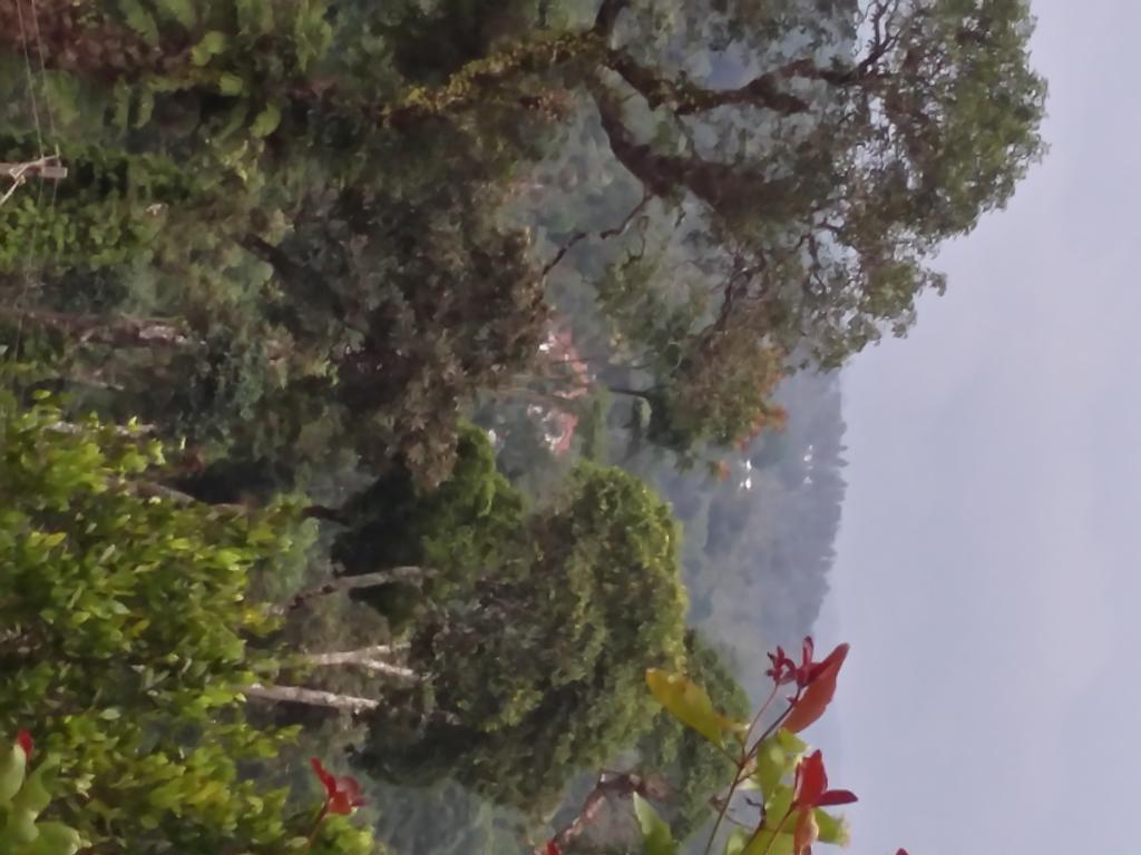 The Blue Mountains Estate Stay Madikeri Exteriér fotografie