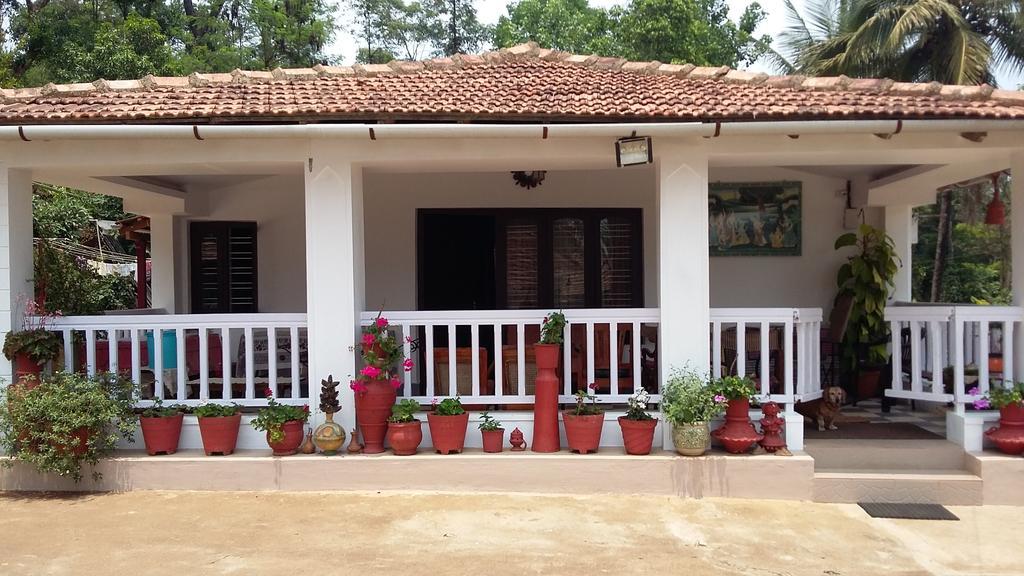 The Blue Mountains Estate Stay Madikeri Exteriér fotografie