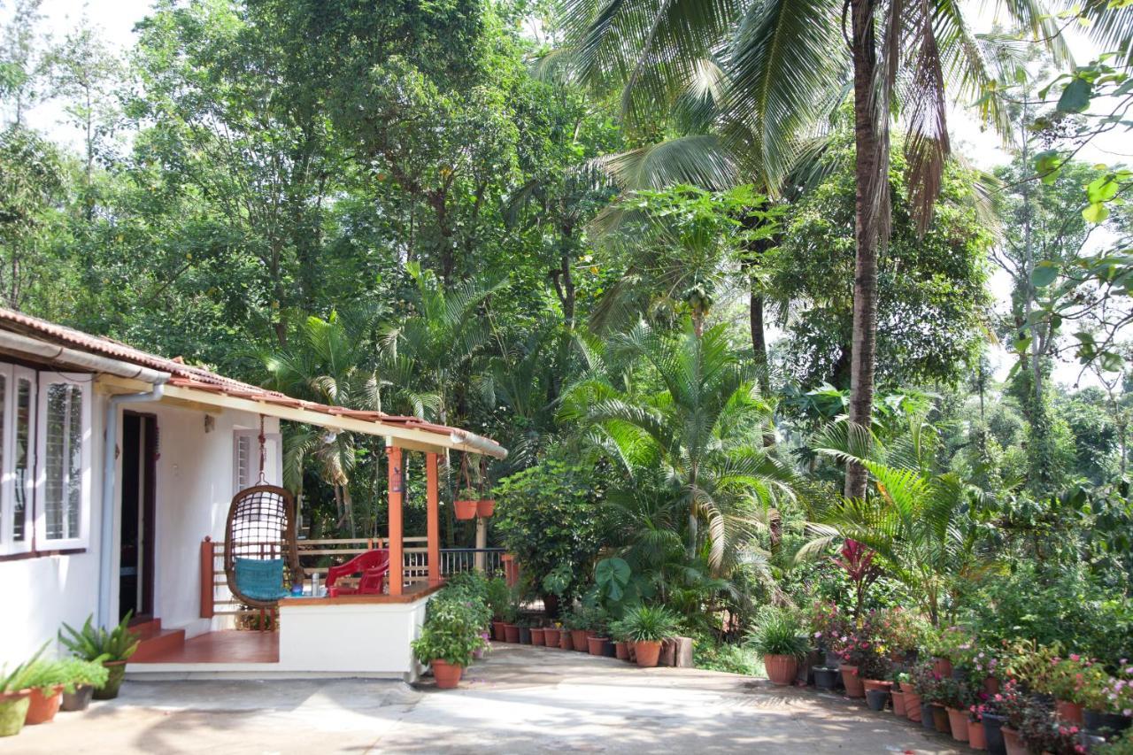 The Blue Mountains Estate Stay Madikeri Exteriér fotografie