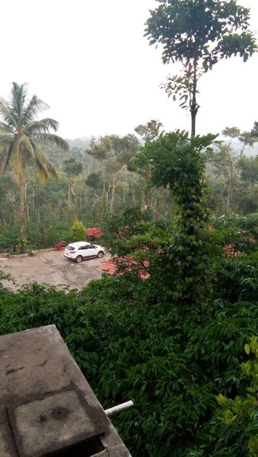 The Blue Mountains Estate Stay Madikeri Exteriér fotografie