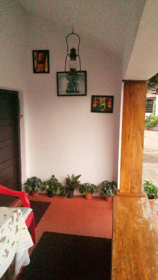 The Blue Mountains Estate Stay Madikeri Exteriér fotografie