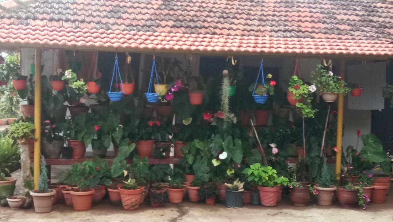 The Blue Mountains Estate Stay Madikeri Exteriér fotografie