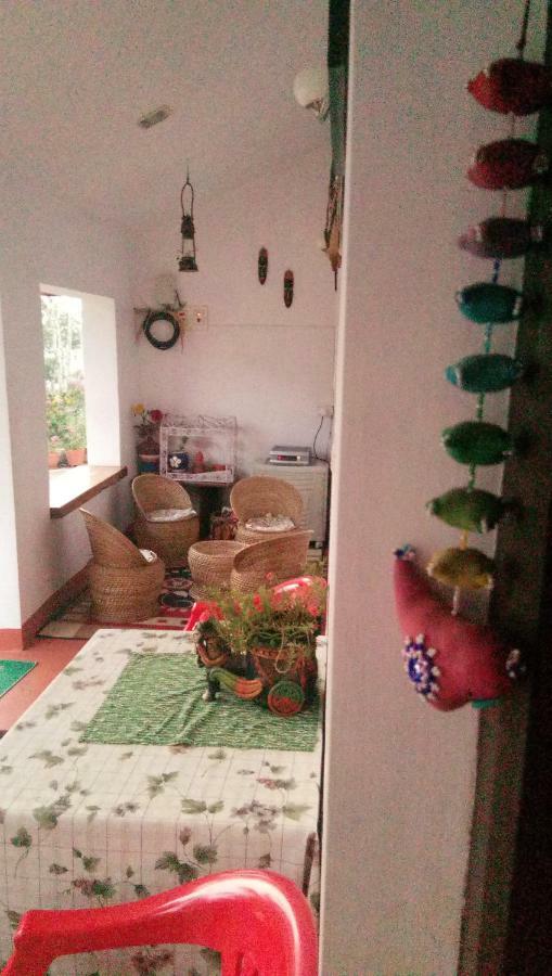 The Blue Mountains Estate Stay Madikeri Exteriér fotografie